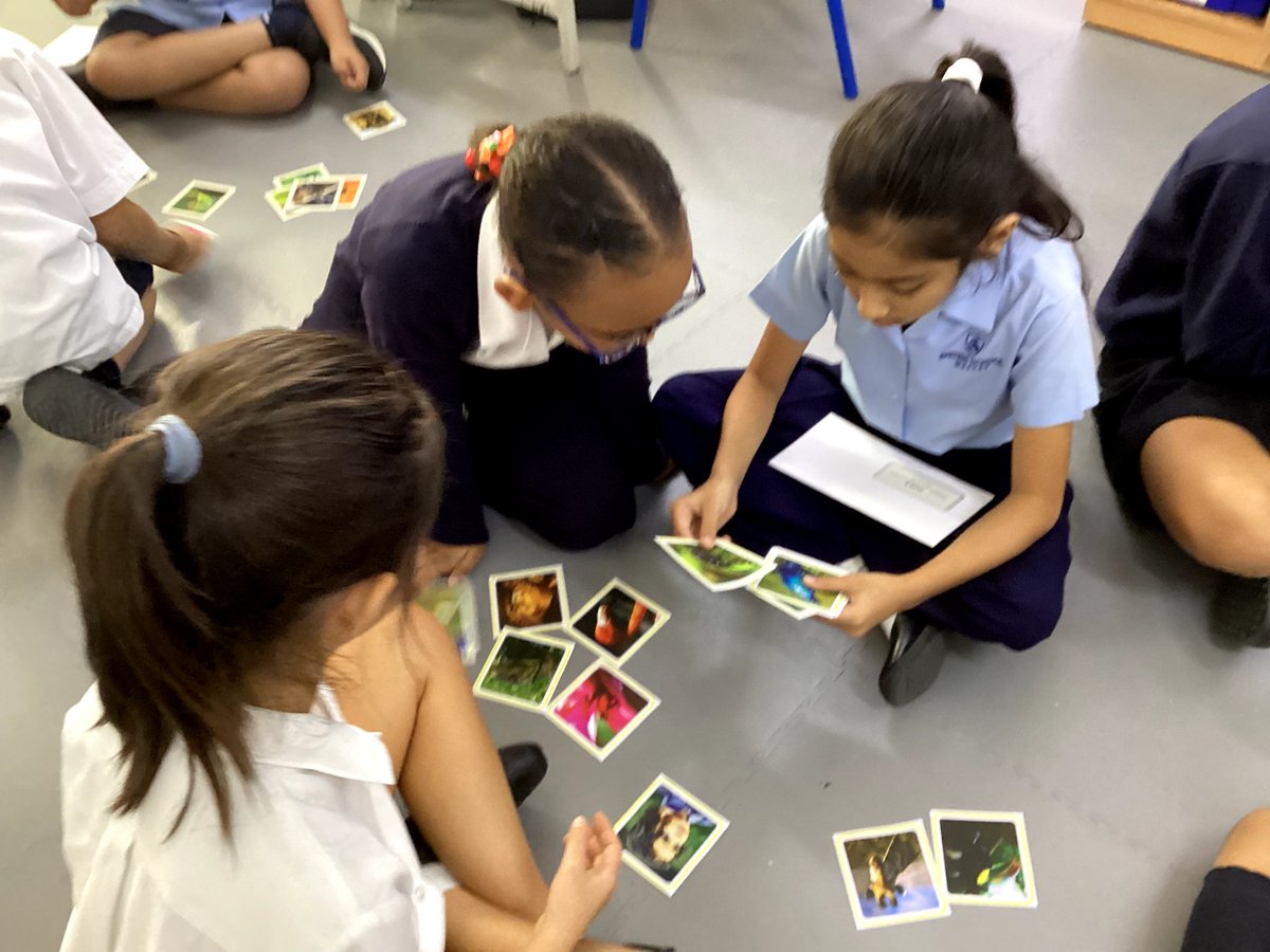 BSM Year 5 tweet media