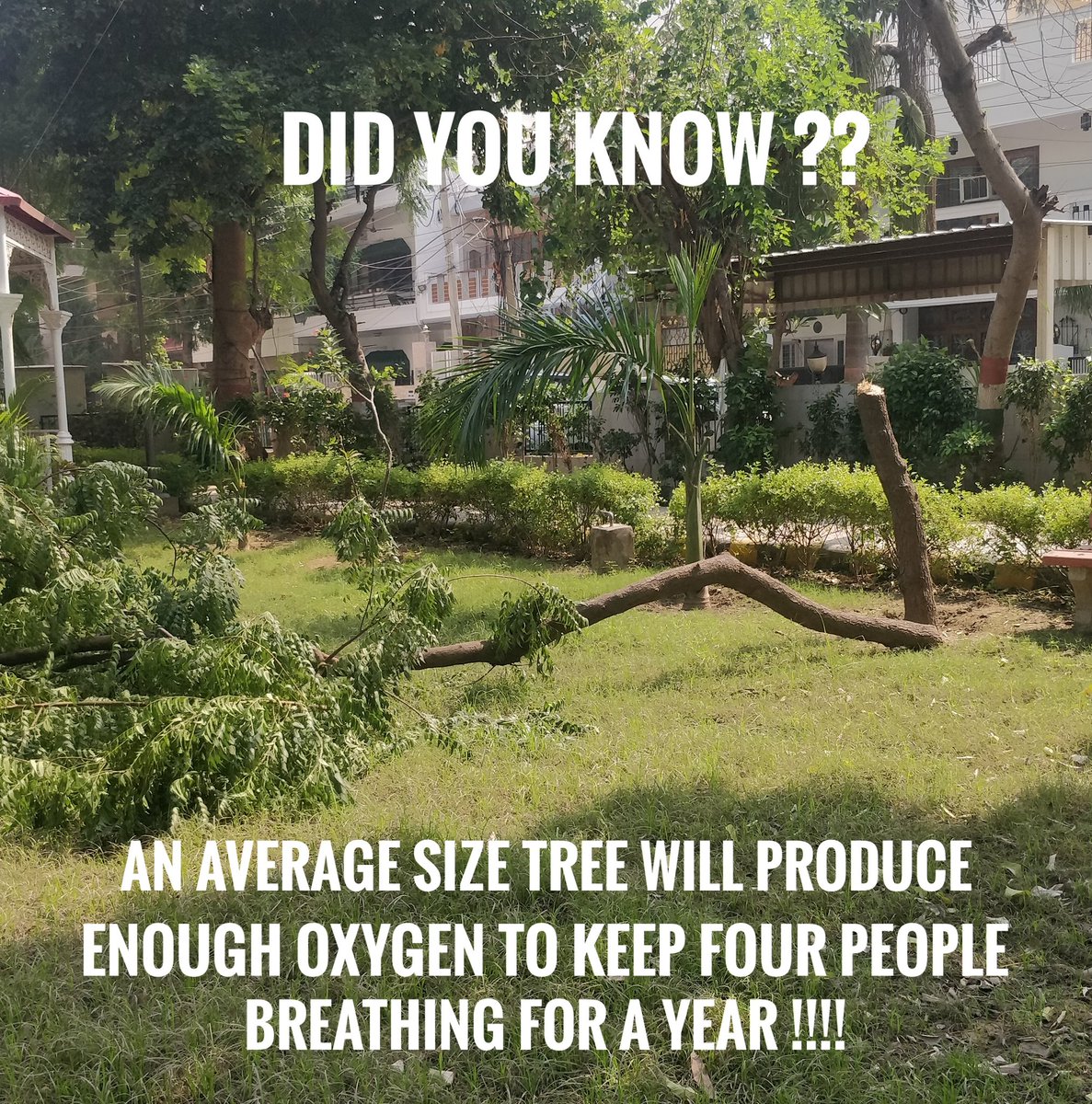sorusharma's tweet photo. Moral police is a passe,our nbrhood is tackling wd moral landscapers,who r forcibly so cld beautifying our park, wdout understanding  concerns of  people living around.Hw cn Cutting trees b part of beautification Authorities pls tknote.@cmohry @PMOIndia @mcgurgaon @ForestHaryana https://t.co/t68dwtawAC