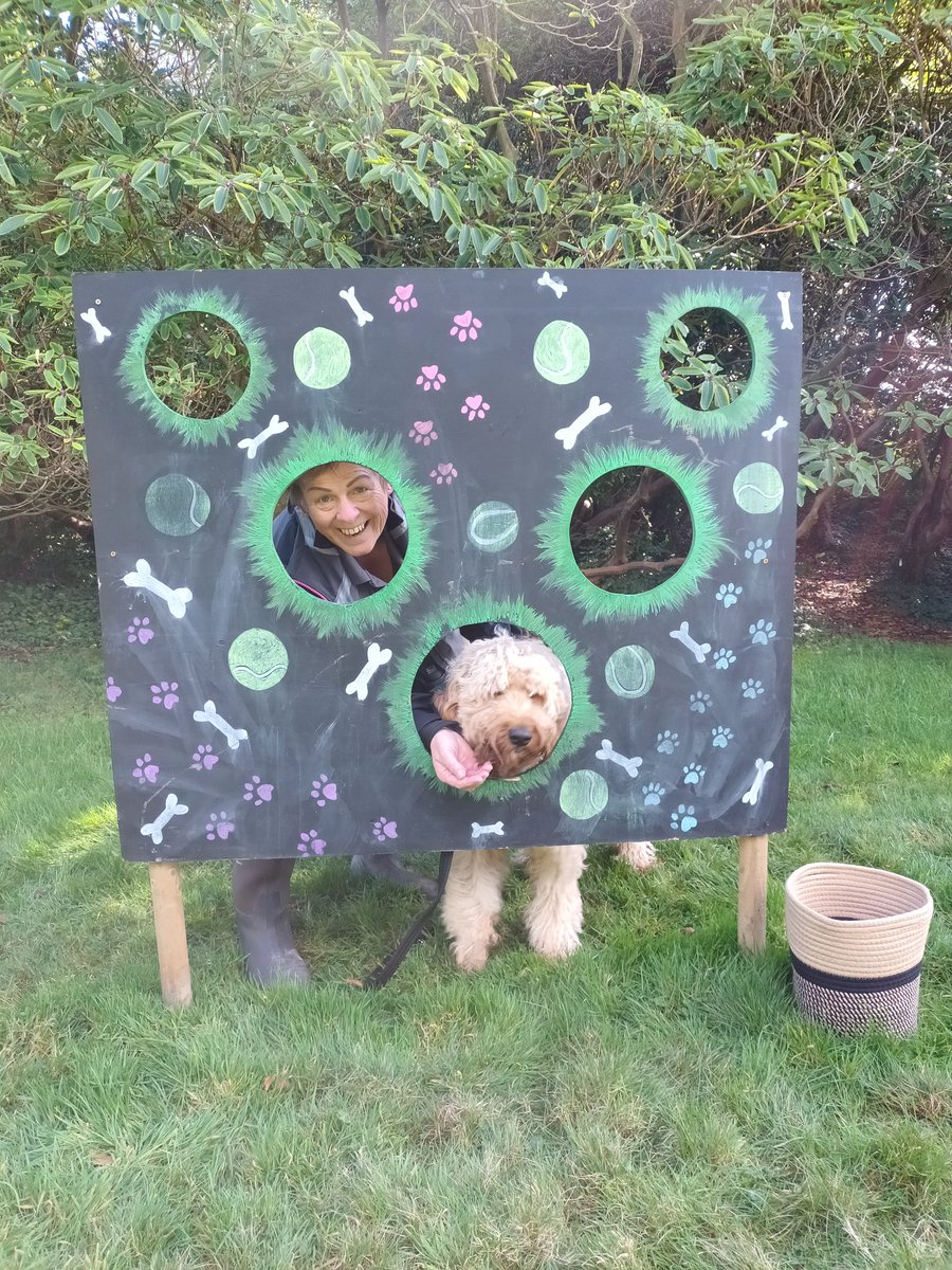Joanne Stuart (@j1lstuart) on Twitter photo Having fun at <a href="/NationalTrustNI/">National Trust NI</a> Rowallane at the Pawstivity fair with The Dog Campus. Rosie was brilliant doing the nosework demo😄. Having fun at <a href="/NationalTrustNI/">National Trust NI</a> Rowallane at the Pawstivity fair with The Dog Campus. Rosie was brilliant doing the nosework demo😄.