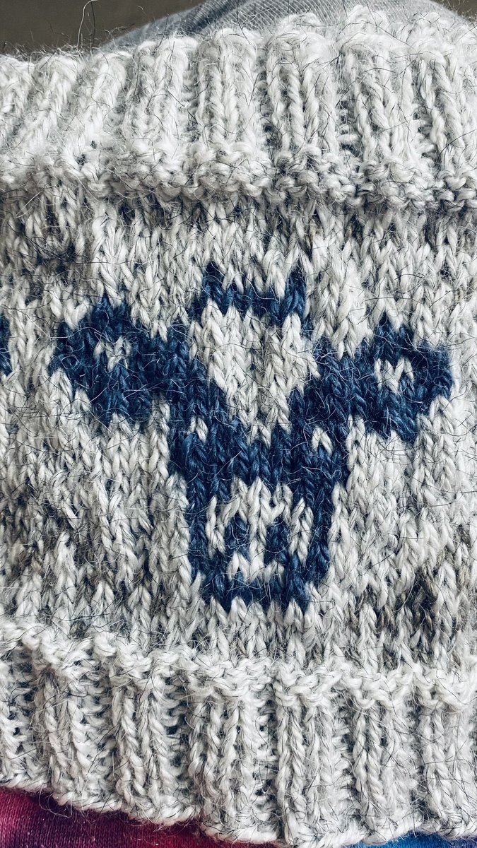 tinahandknits's tweet photo. I love this adorable little โcowLโ Iโve been working on ๐ฎ
#tinaknits #knitting #๐งถ #createandslay #knittingtwitter
#aussieknitters #riseanddesign #knittersoftheworld #๐ #knitdesign #diy #๐ค #fibreartist #togetherweknit #colourwork #onmyneedles #knitwear https://t.co/ojkbRZ7mt3