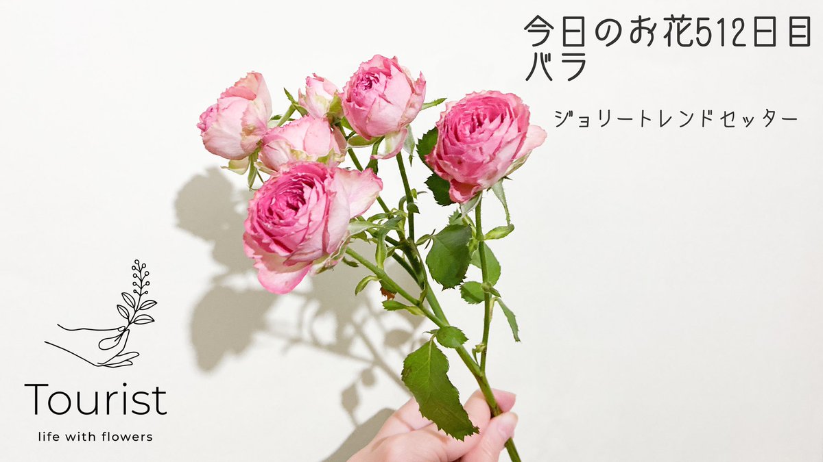 渡邉 友里 フラワーデザイナー 情景を切り取る花屋tourist Yuri Tourist Twitter 渡邉 友里 フラワーデザイナー 情景を切り取る花屋tourist Yuri Tourist Twitter