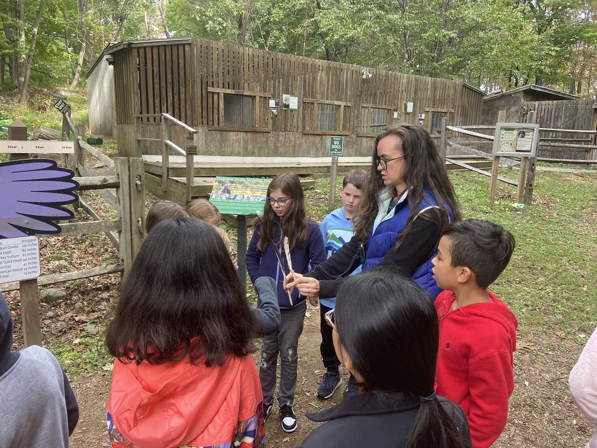 Jenna Volpi tweet media