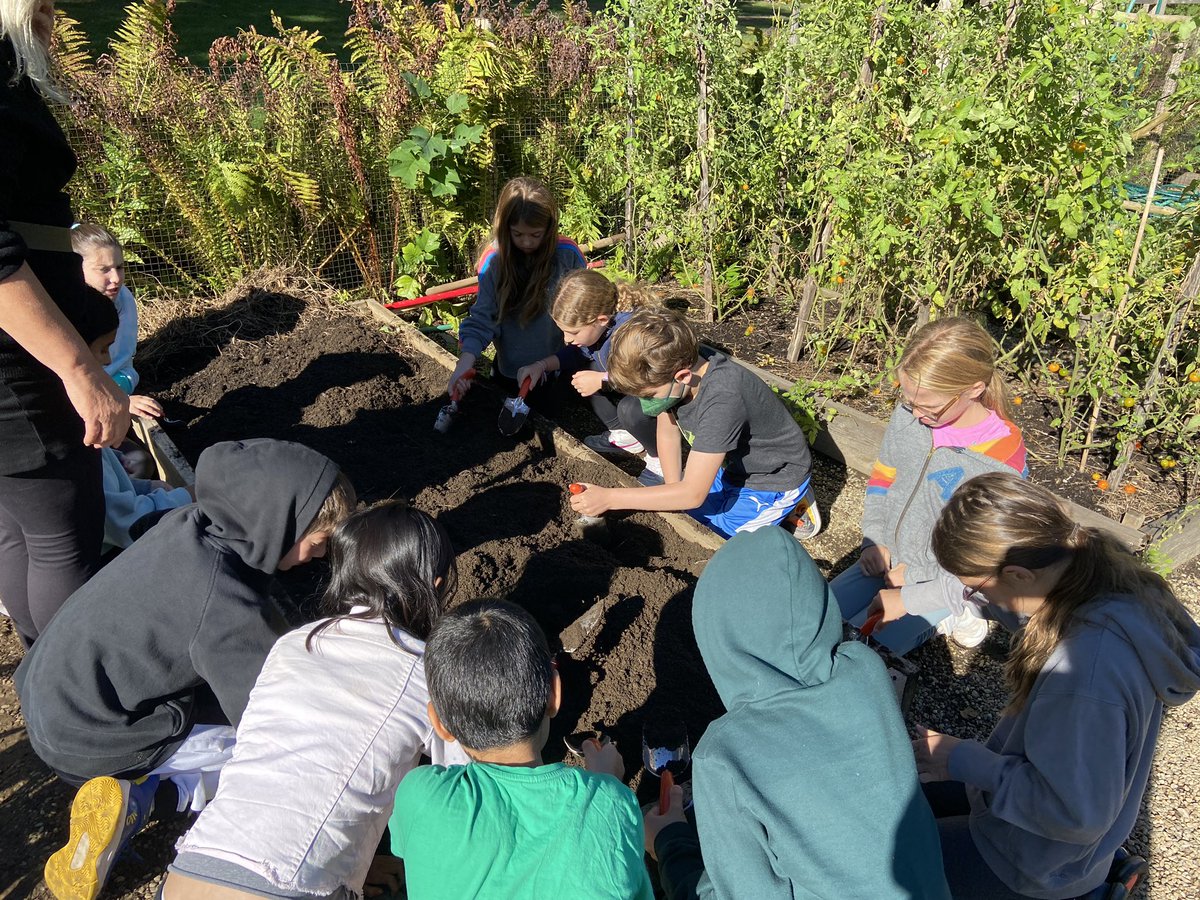 Jenna Volpi tweet media