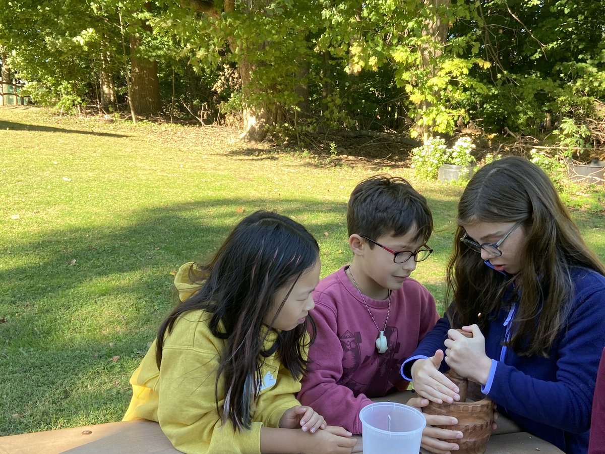 Jenna Volpi tweet media