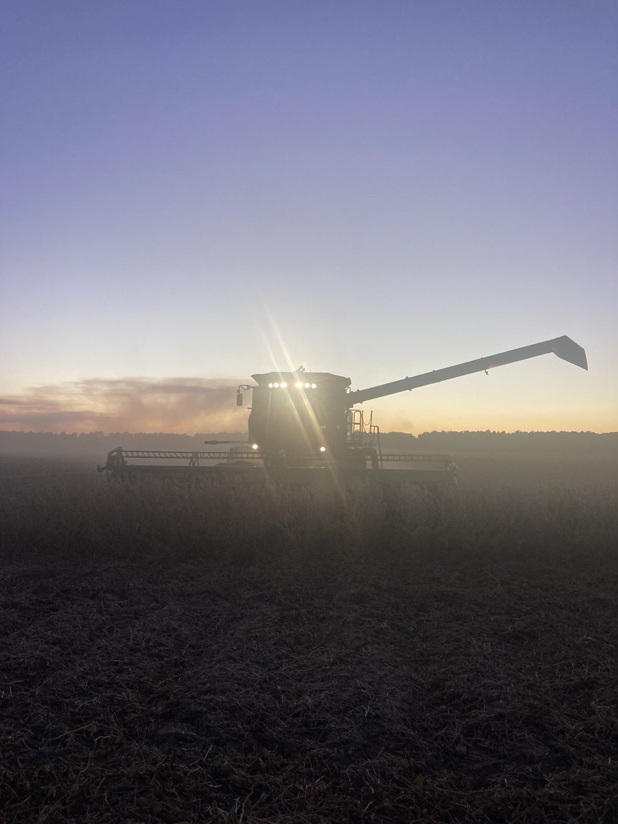 darell_crow's tweet photo. Harvest 22 near Bernie Missouri https://t.co/w1xvKVOXXy