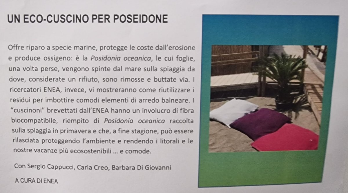 ENEAOfficial's tweet photo. Come riutilizzare le foglie di Posidonia oceanica sulla spiaggia che sono considerate un rifiuto e buttate via?
Scoprilo alla Notte della ricerca a Roma con i ricercatori @ENEAOfficial  Sergio Cappucci, Carla Creo e Barbara Di Giovanni.
@ScienzaInsieme #ERN2022 #NETscience #NET2 https://t.co/BOUgjaUo93