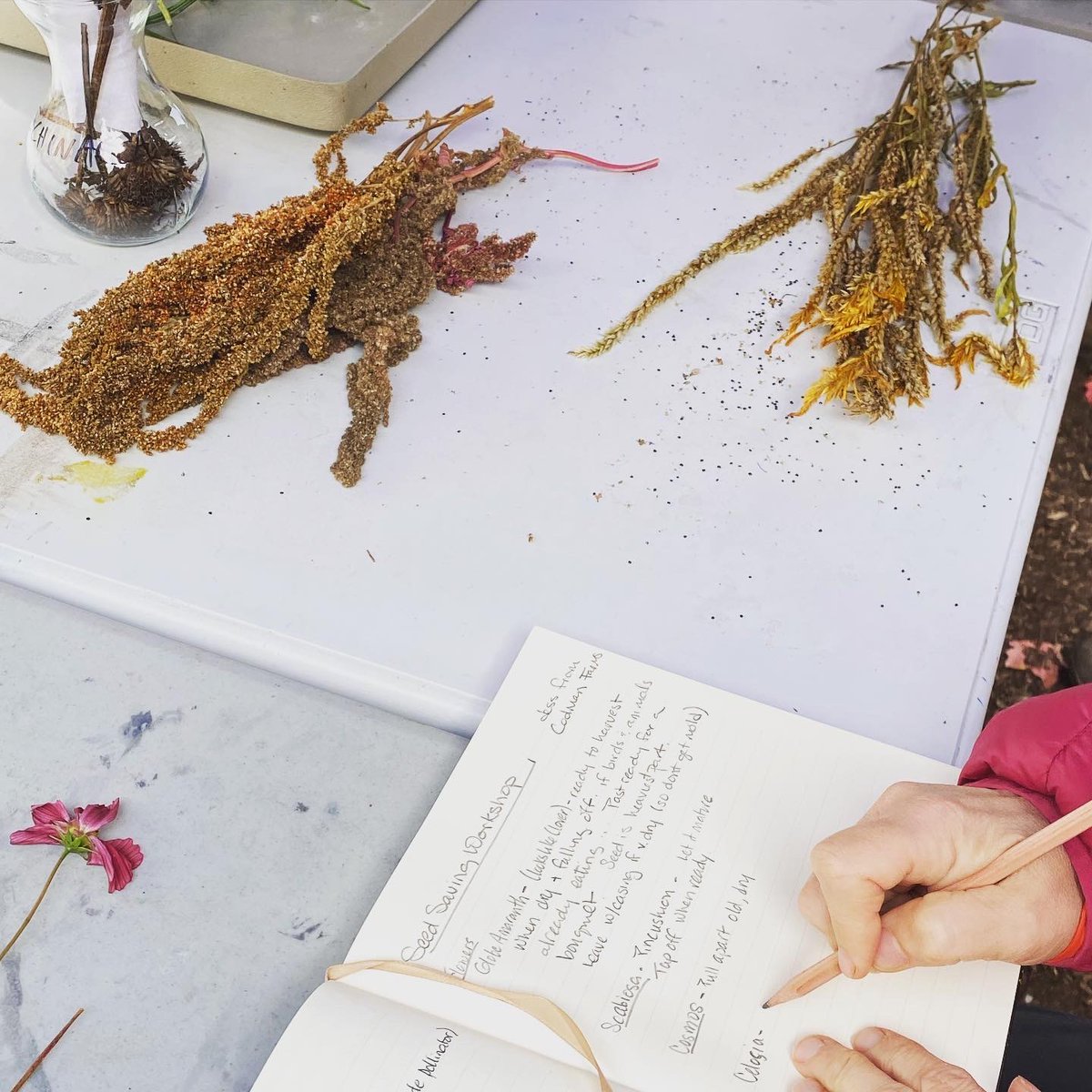 ConcordLibrary's tweet photo. We learned so much in yesterday’s Seed Saving Workshop with Jess Myles of @CodmanFarms. Important takeaways: seed saving is a form of activism, it’s incredibly important, and we can all do it, even if we’re new or “lazy” farmers. Thank you, Jess!#ClimatePrepWeek @climatecrews https://t.co/ATP9r6bc6c