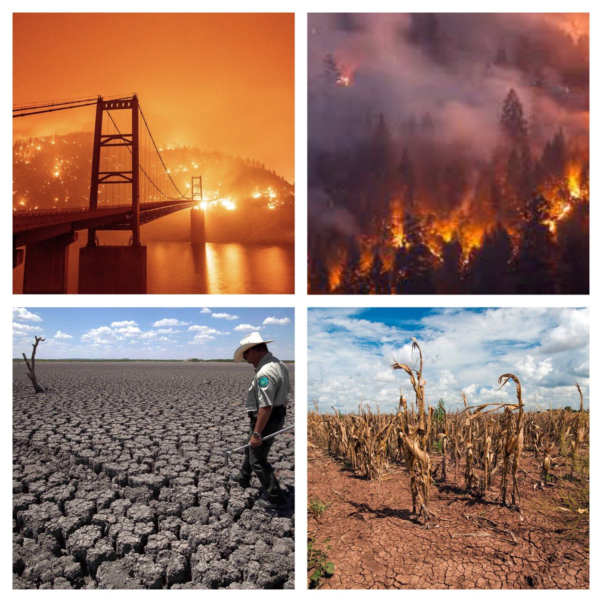 If you are a politician who takes money from the #fossilfuel industry, it doesn’t matter if you are a democrat, republican or an independent, you bear some responsibility for the impacts that are happening from #hurricanes, #floods, wildfires, droughts, extreme heat &amp; #LossOfLife