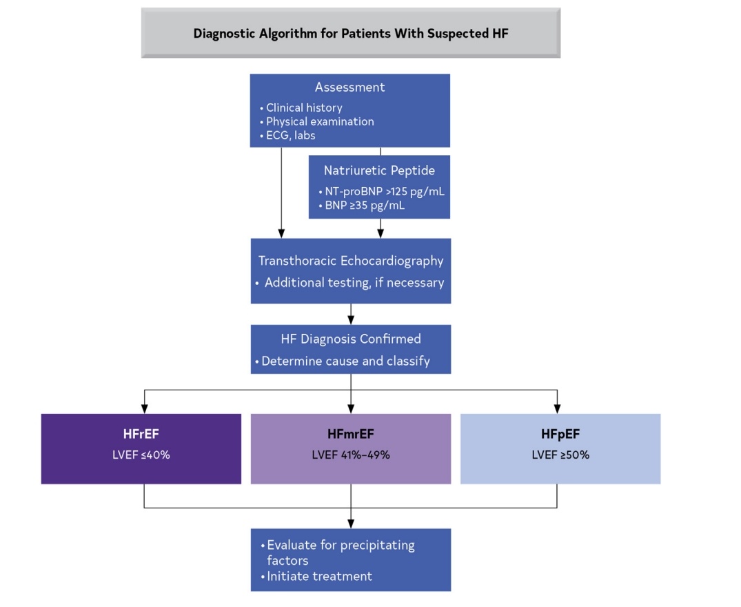 SOMELaguna's tweet photo. Guía 2022 para el manejo la Falla Cardiaca💓 👌🏼

1️⃣Definiciones
2️⃣Epidemiologia
3️⃣Abordaje inicial
4️⃣Clasificación y Tratamiento por estadios (A, B, C, D)
5️⃣Poblaciones especiales
6️⃣Pronóstico

🔓https://t.co/rrWMvtzt2f

📲📃https://t.co/pdXNGW81H8 https://t.co/6Mq3gJ02PN