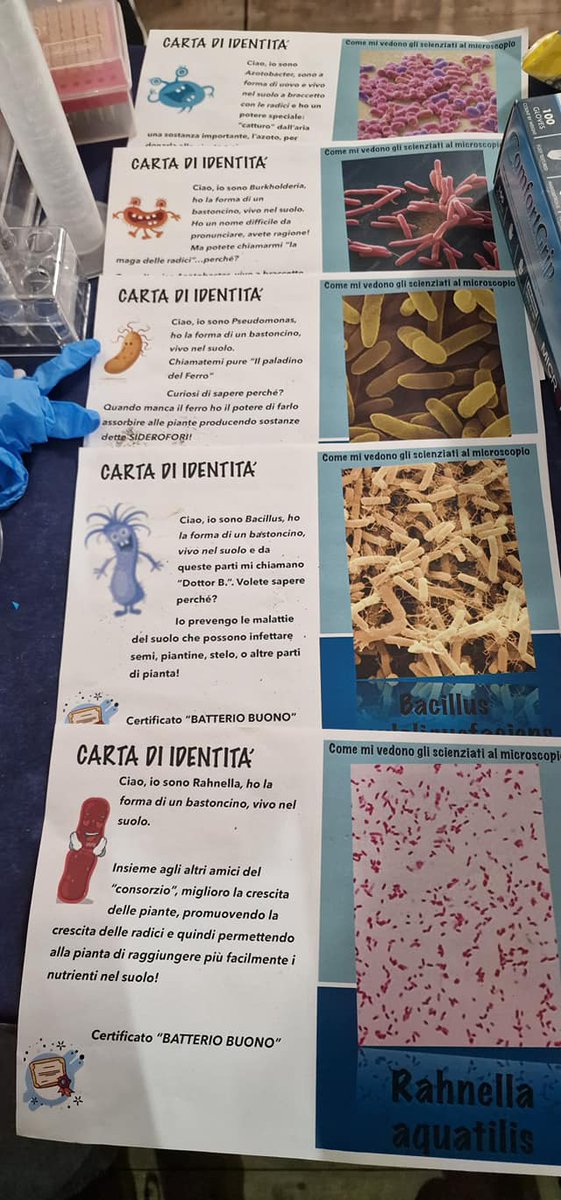 ENEAOfficial's tweet photo. Microrganismi che vivono nel suolo possono essere molto utili per migliorare la qualità e la produttività in agricoltura. Alla Notte della Ricerca con le ricercatrici @ENEAOfficial.

@ScienzaInsieme #ERN2022 #NETscience #NET22 https://t.co/NTqr2S3y4K