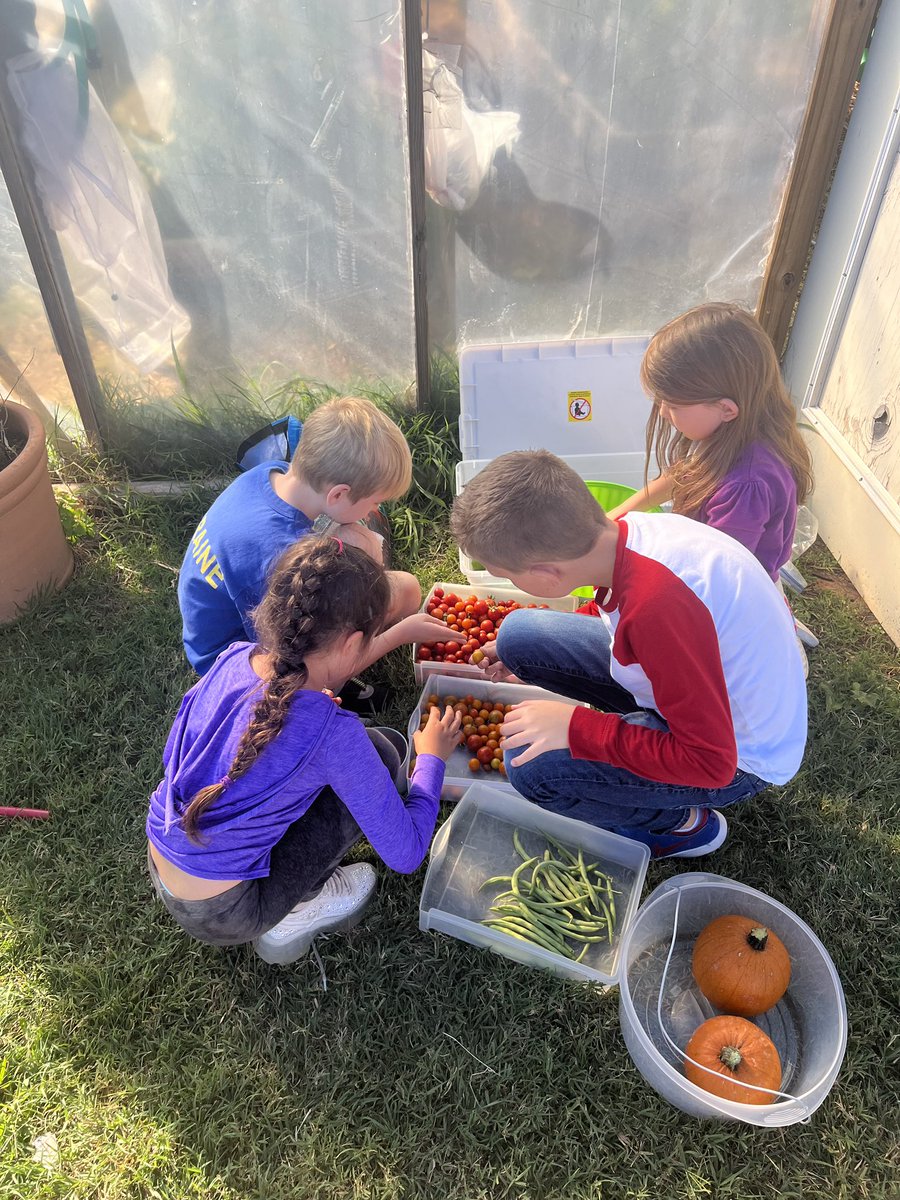 DHElementary's tweet photo. So proud of our Garden Club!! They made a donation of fresh produce from their green house to Ozarks Food Harvest! @officialSPS
#highlevelsoflearning! https://t.co/fgQbukNVXx
