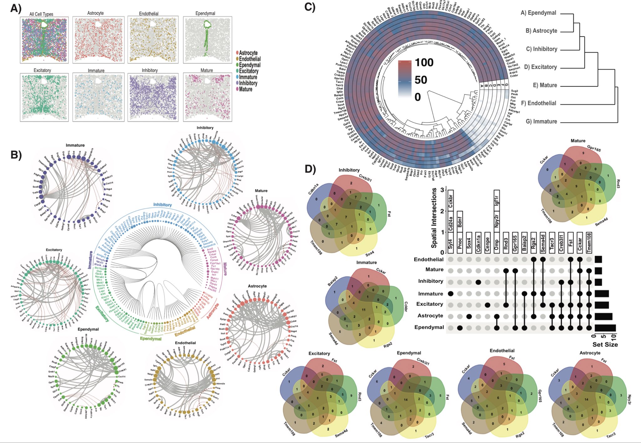 Denis Grouzdev Denisgrouzdev Twitter