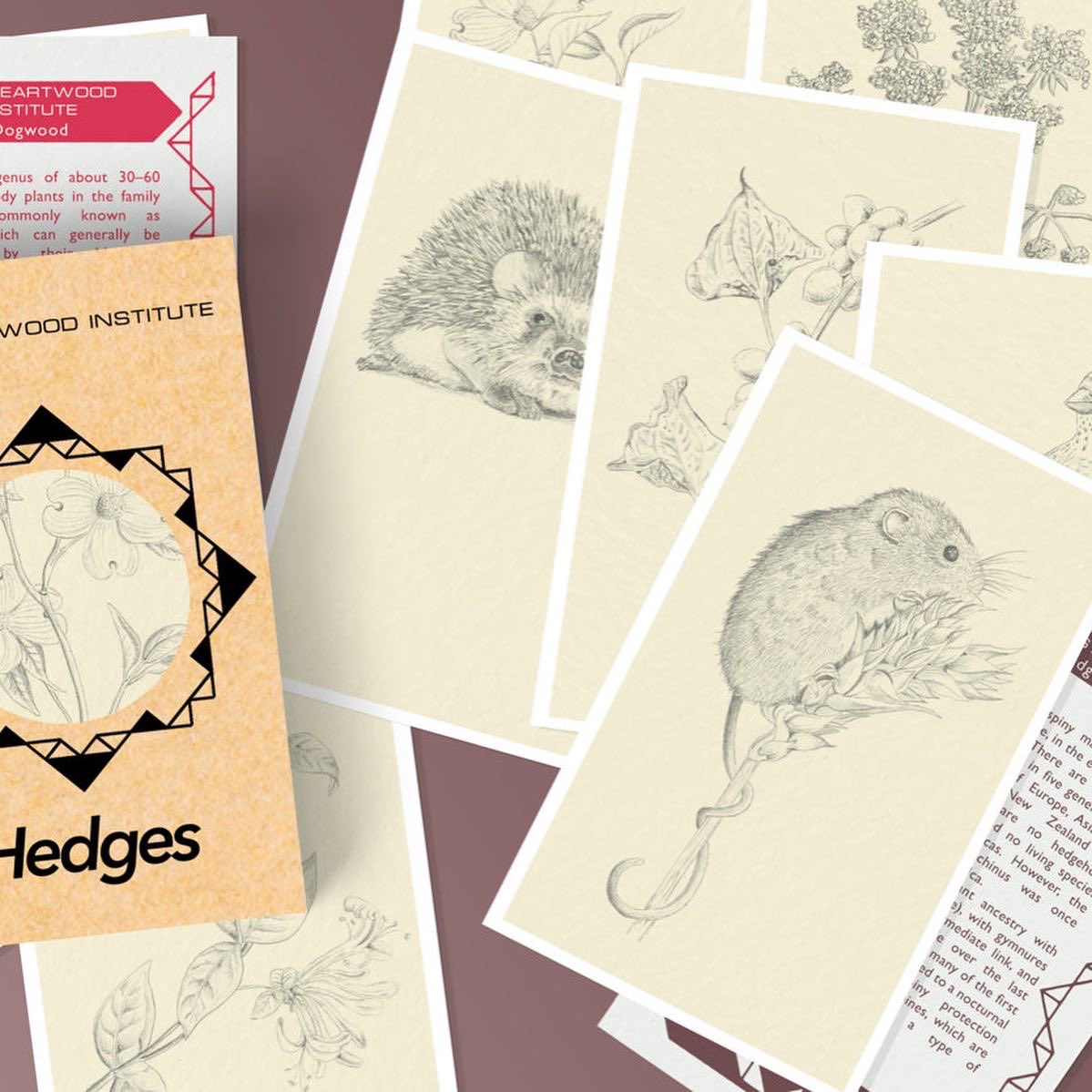 Woodford Halse tweet media