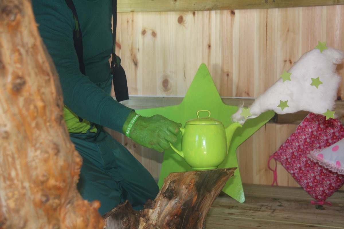 After a couple of years hybernating, it's just taken a nice pot of Green Tea to get him to stir