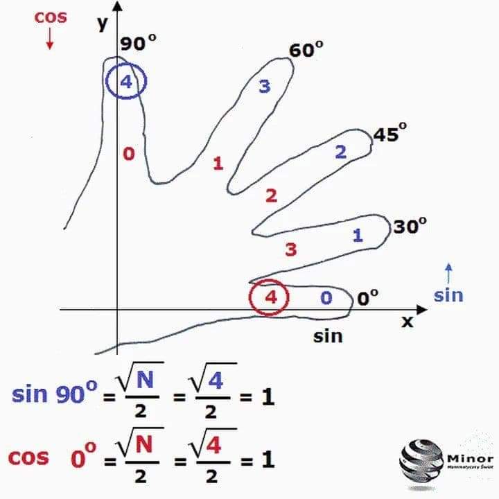physicsfact1122's tweet photo. #hand #Math #Maths #ratio https://t.co/ZmRZQRF74x