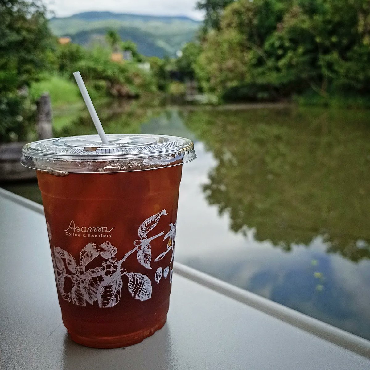 malimali's tweet photo. Asama ร้านกาแฟที่ชอบวิวที่สุดร้านนึงในเชียงใหม่ เจ้าของวนเวียนในวงการมานานละ กาแฟก็เลยหายห่วง
#malimali #whereinth #reviewthailand #reviewchiangmai https://t.co/kEbeFtxE7N