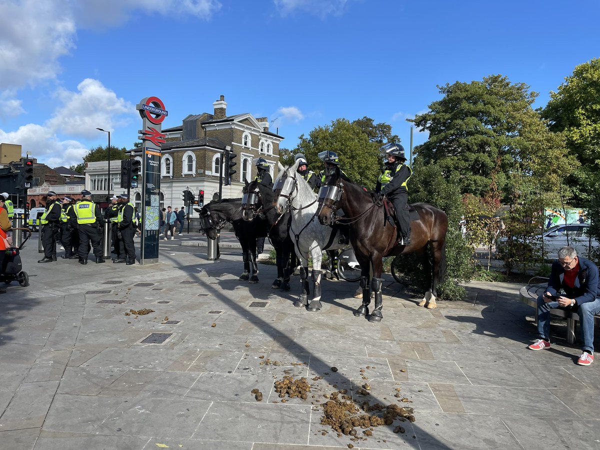 Árni Már tweet media