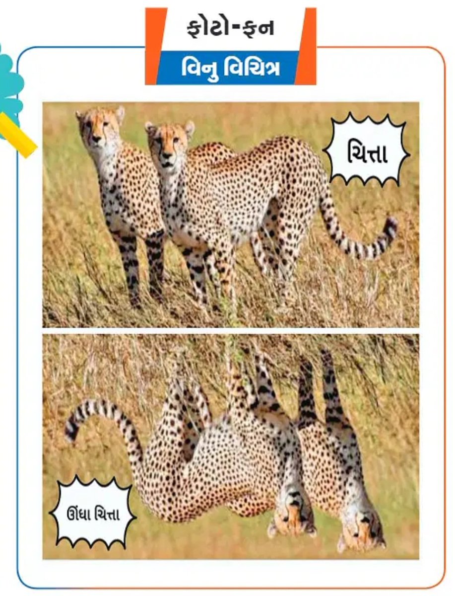 vinaydave61's tweet photo. My #fotofun in #ardhsaptahik poorti of #sandesh. 
#ફોટોફન #સંદેશ #અર્ધસાપ્તાહિક #comedy #fun #memes #ગુજરાતી #મીમ https://t.co/Y0ouuJSdh7
