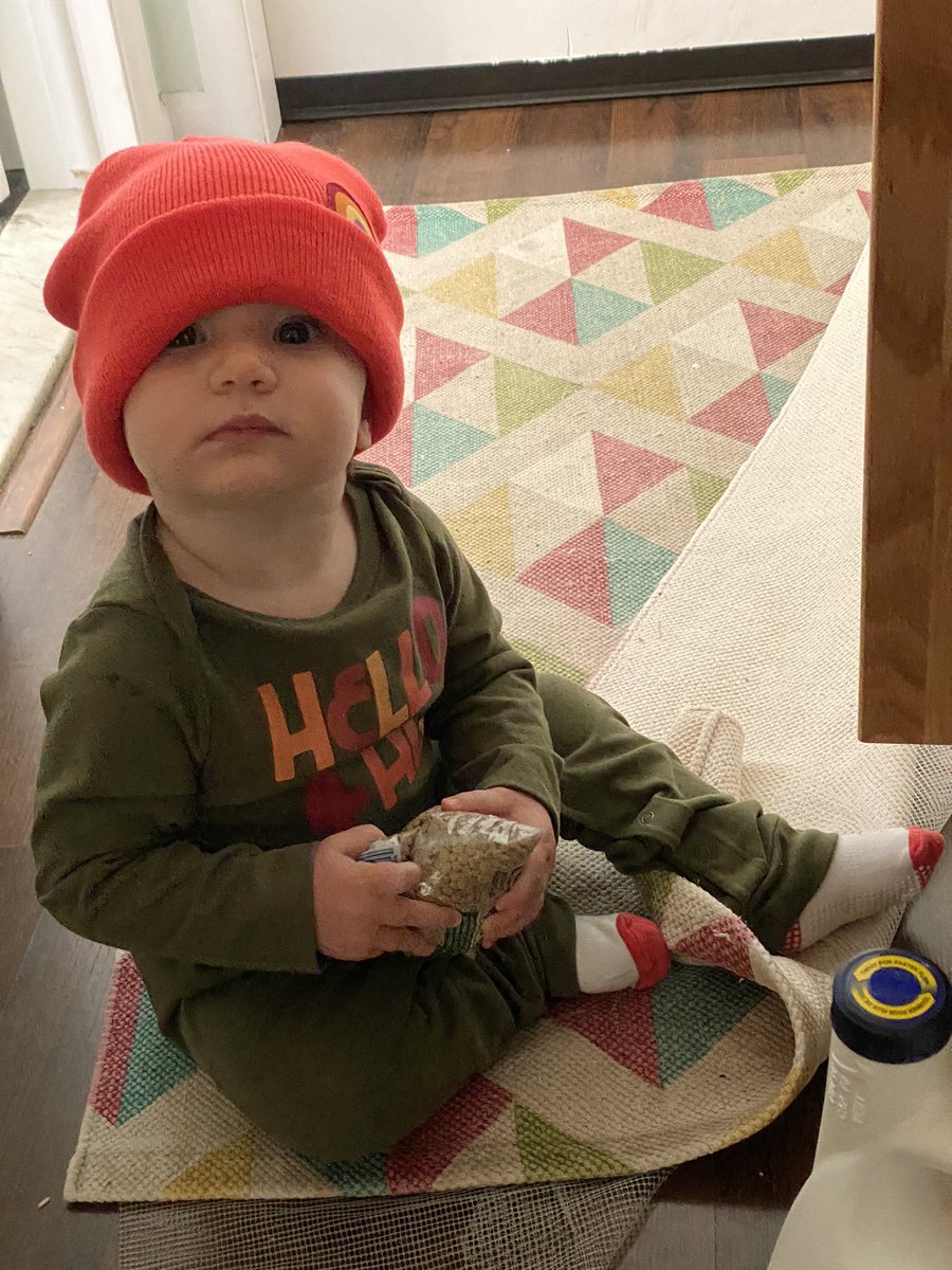bassKMB's tweet photo. She loves her (our) bag of lentils. https://t.co/oJZDjPz592