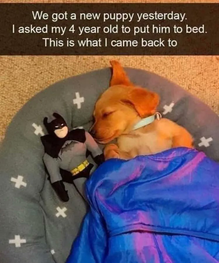 Uplifting Content by Ione Butler tweet media