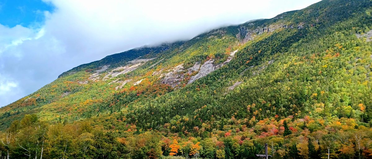 "𝕀'𝕞 𝕤𝕠 𝕘𝕝𝕒𝕕 𝕀 𝕝𝕚𝕧𝕖 𝕚𝕟 𝕒 𝕨𝕠𝕣𝕝𝕕 𝕨𝕙𝕖𝕣𝕖 𝕥𝕙𝕖𝕣𝕖 𝕒𝕣𝕖 𝕆𝕔𝕥𝕠𝕓𝕖𝕣𝕤". -𝐿.𝑀.𝑀𝑜𝓃𝓉𝑔𝑜𝓂𝑒𝓇𝑒𝓎
📷: Meg Cowan (Crawford Notch) #WhiteMountains #FallFoliage