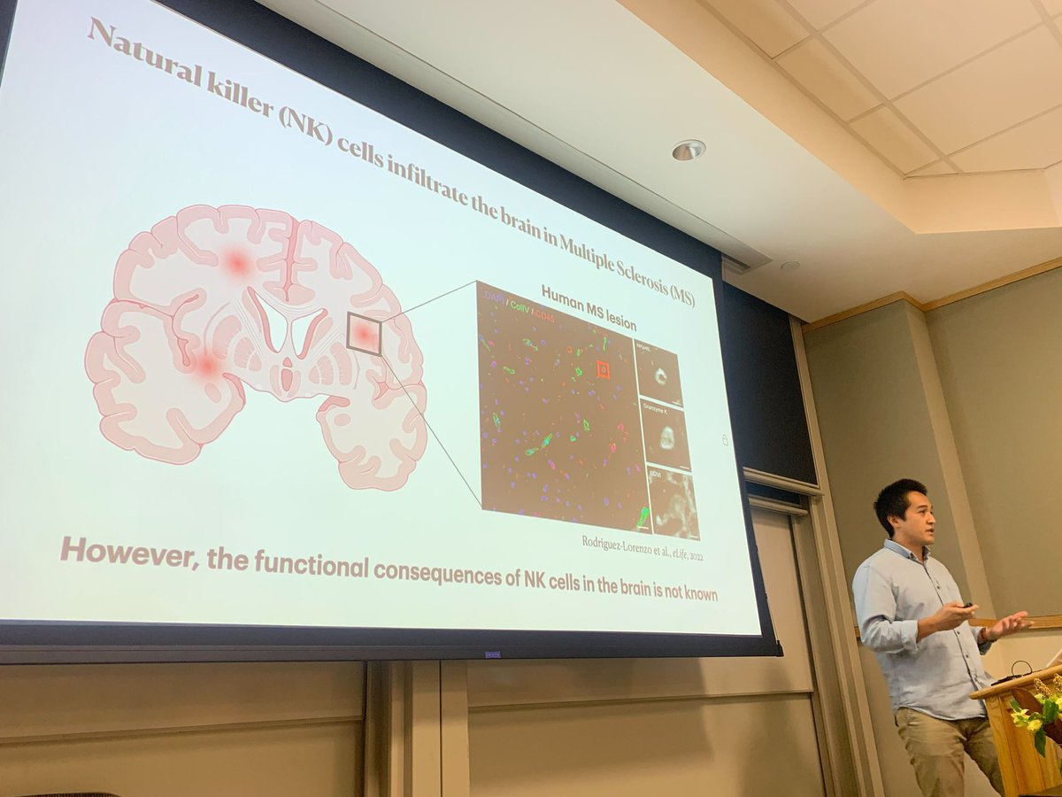 ericgarcianeuro's tweet photo. Had a great time presenting my work at the #PiNBAC Synaptogenesis Symposium to the @PiN_Harvard community! Big thank you to @TaralynTan and @Datta_Lab for organizing https://t.co/x781LAQG1S