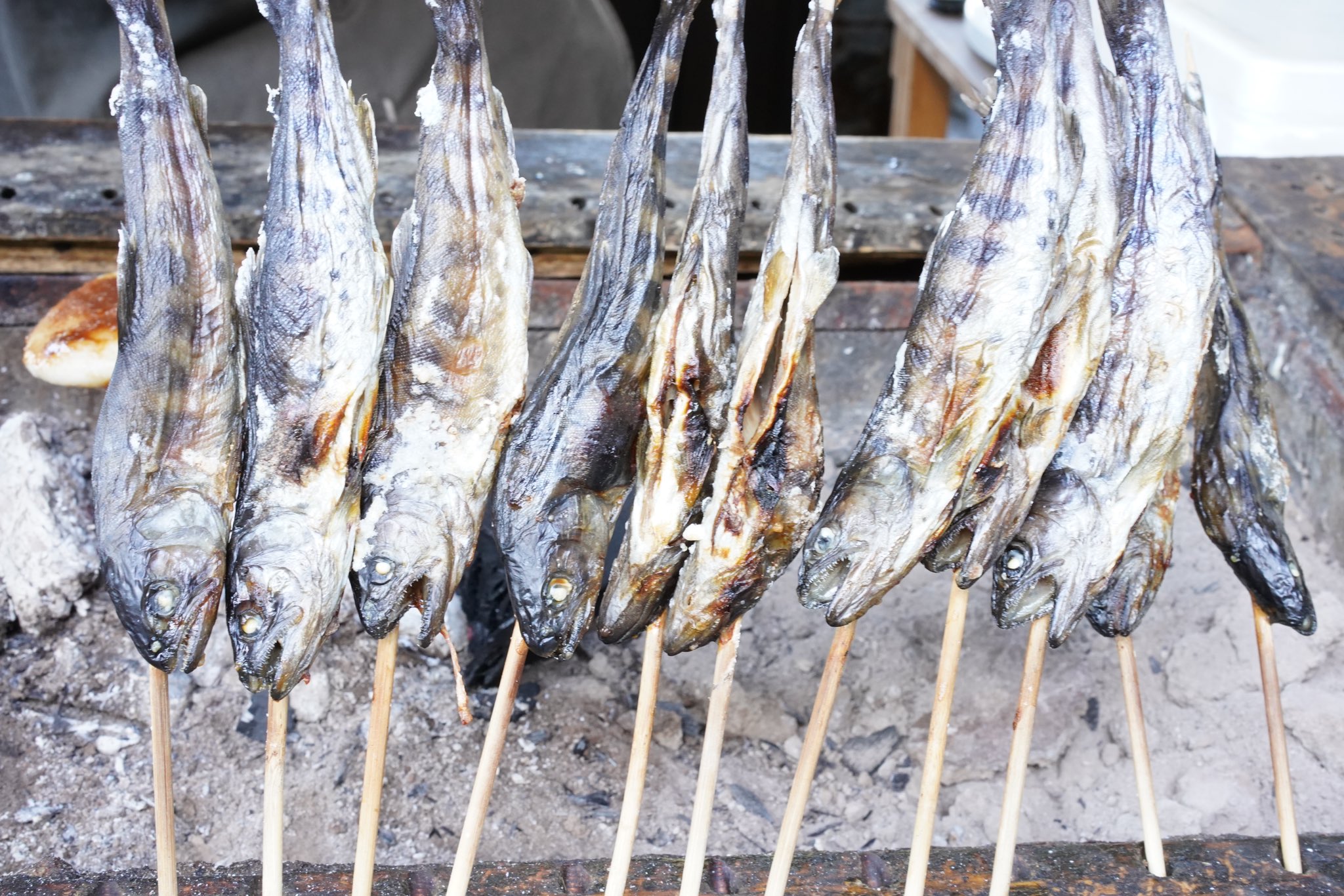 ヤマメの塩焼き Twitter Search Twitter