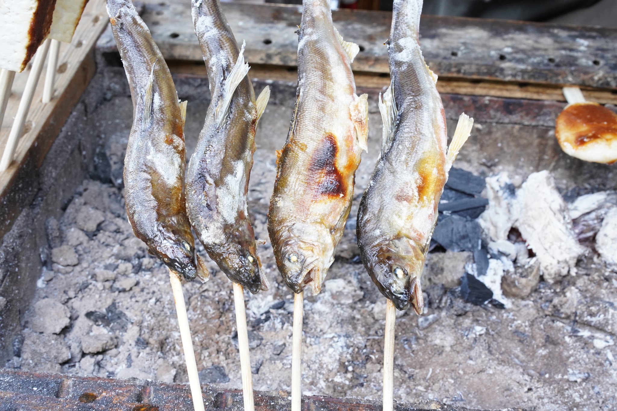 ヤマメの塩焼き Twitter Search Twitter