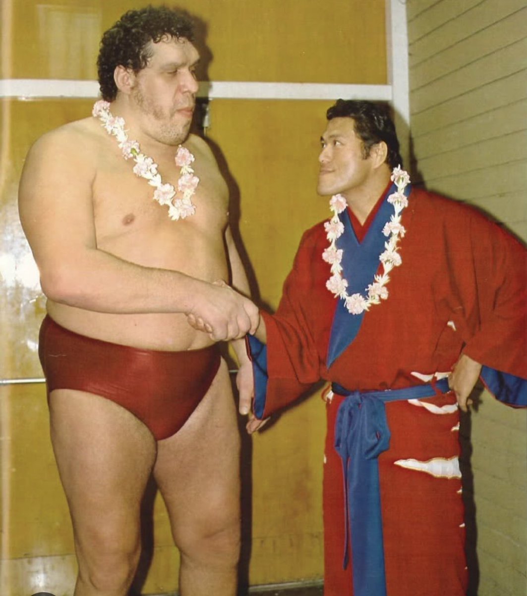 salvettipaolo's tweet image. Non so quanto la capiranno. Lo so, sono un “diversamente giovane” #inoki