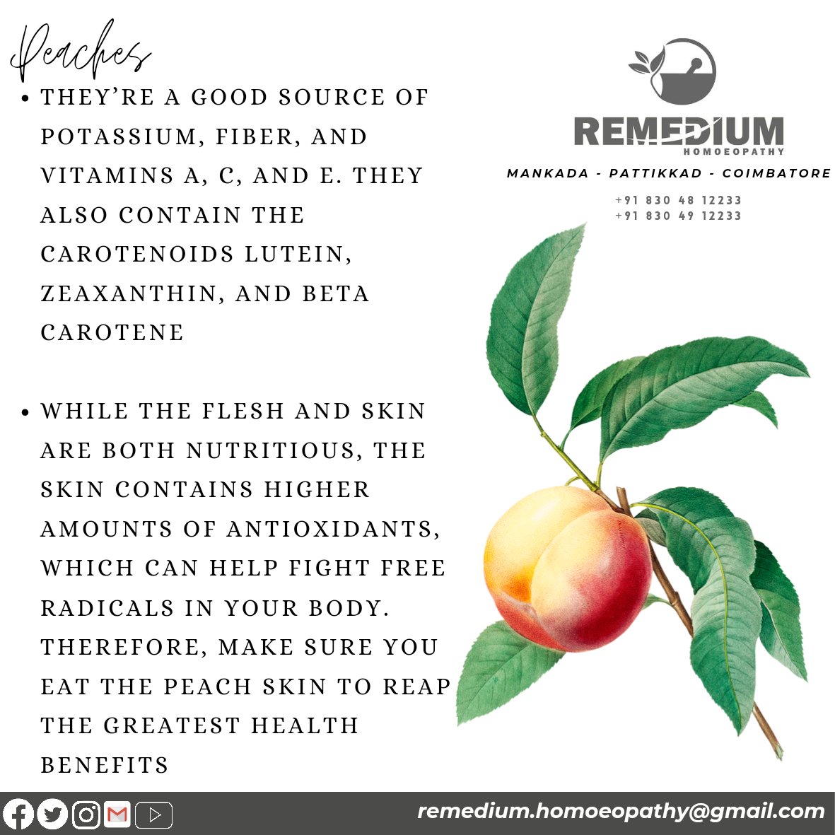 RemediumH's tweet photo. #peaches 🍑
@RemediumH

#healthtips #health #healthylife #homoeopathy #homoeopathyforall #homoeo #homoeopathic #medicine #medical #homoeopathicmedicine
#fruits #fruitsnutrients #nutririonalvalue #nutrition https://t.co/aCeV4C356n