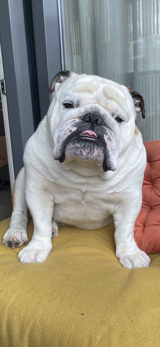 King Loki💚 tweet media