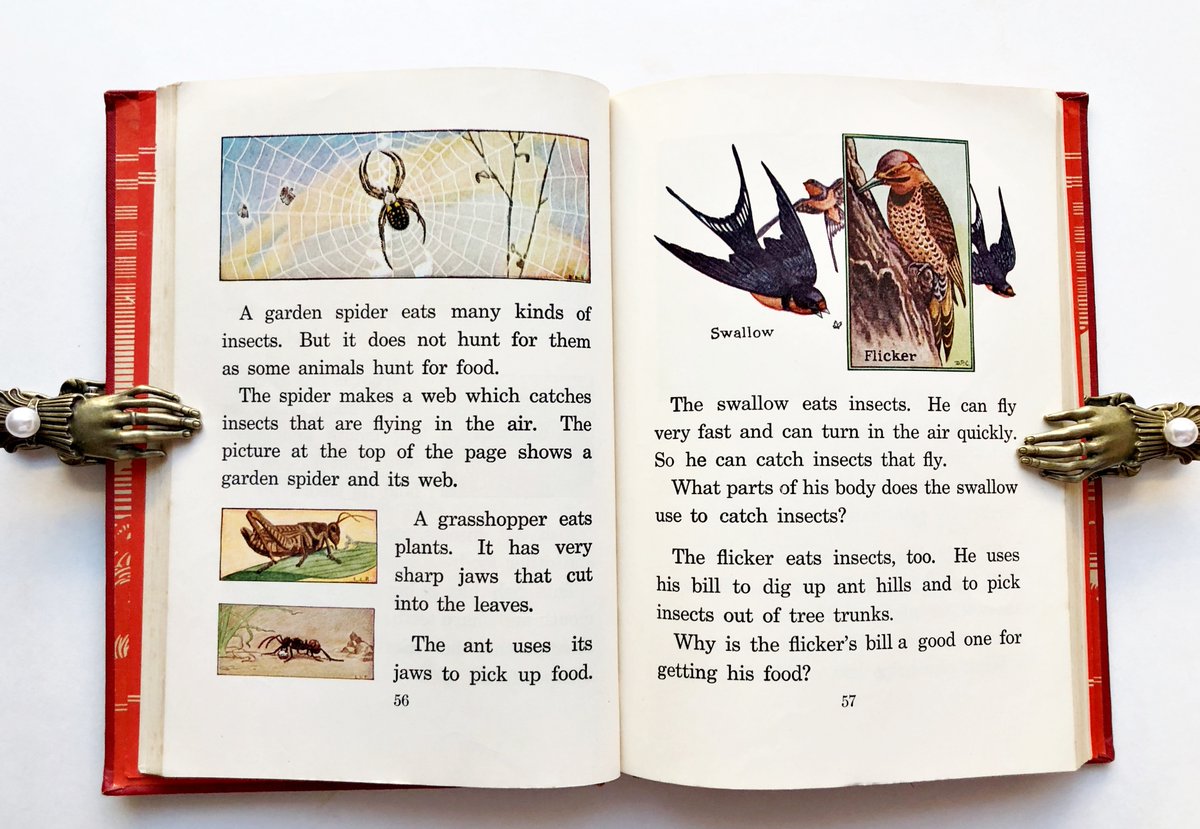 robinghvintage's tweet photo. #Science #Textbook for #ElementaryScool #Childrenssciencebooks #1930s #ScienceStories #BasicBiology #WeatherScience #Astronomy #vintagesciencebook #vintagechildrensbooks #sciencetextbooks #antiquarian #bookishkids #scienceforkids Link: https://t.co/E9esslO8n1 via @Etsy https://t.co/5n085rsd2x