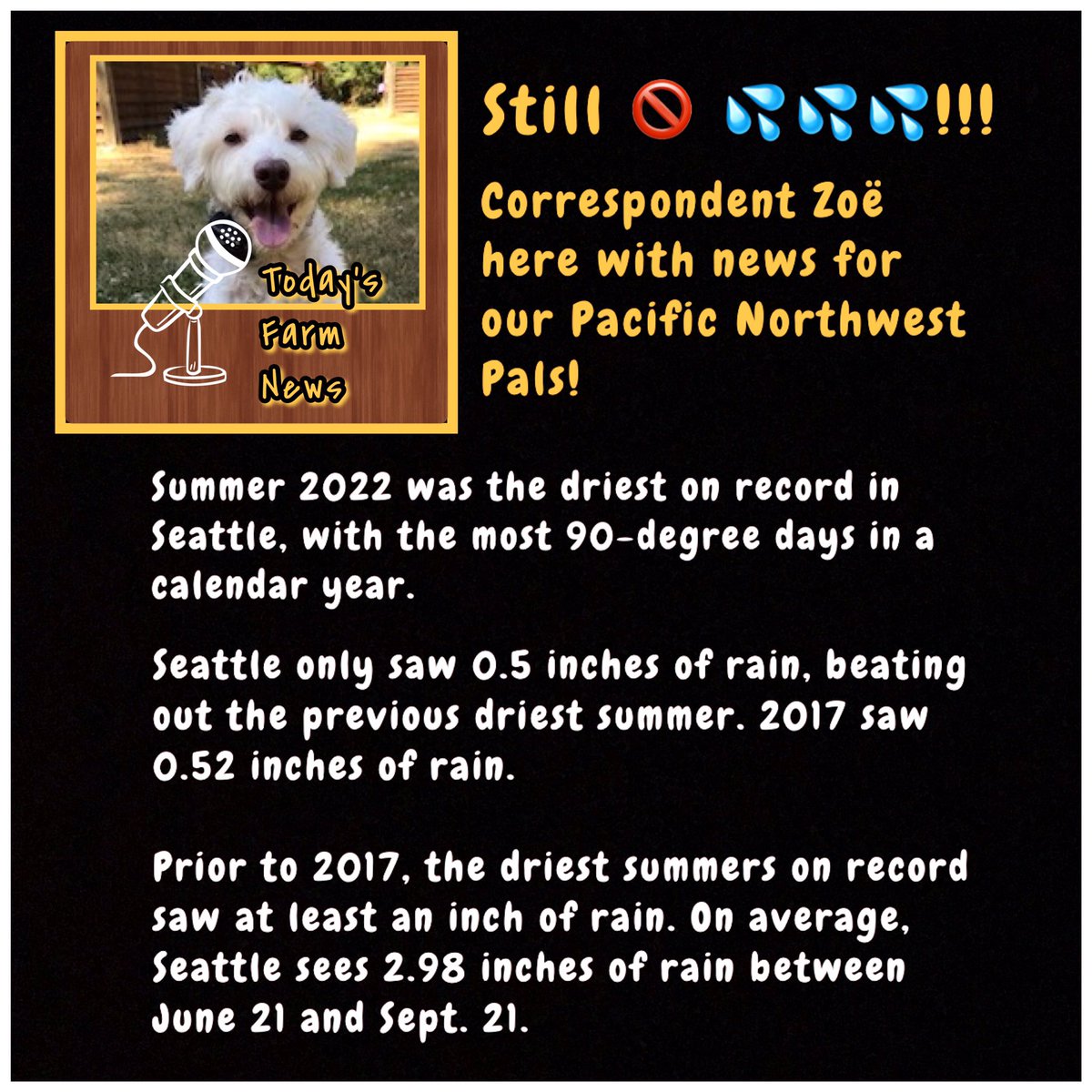 𝓩𝓲𝓹🐾𝓩𝓸ë🐾𝓜𝓸𝓶👩🏻‍🌾~✨🕯𝓛𝓾𝓷𝓪🐾✨~ tweet media