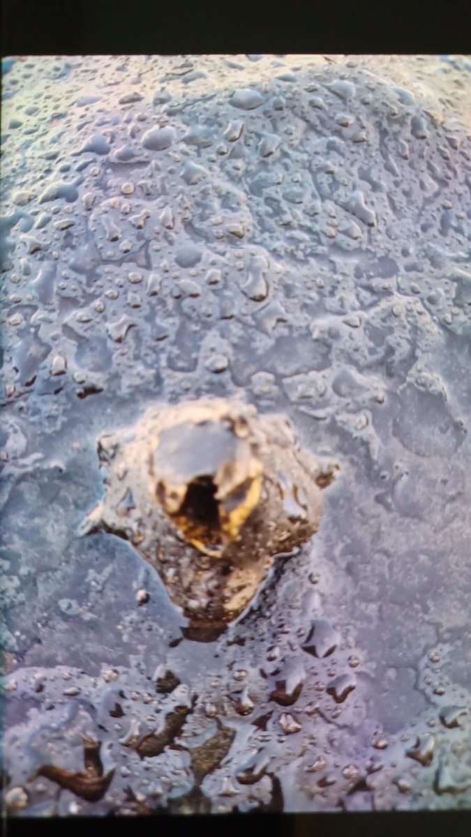 In de nacht van vrijdag op zaterdag is het bronzen beeld ‘Kattendans’ gestolen. Het beeld van drie rechtopstaande katten is van de betonnen sokkel afgeslepen. Heb je tips, camerabeelden of andere informatie? Neem dan contact op met @politie via 0900-8844.