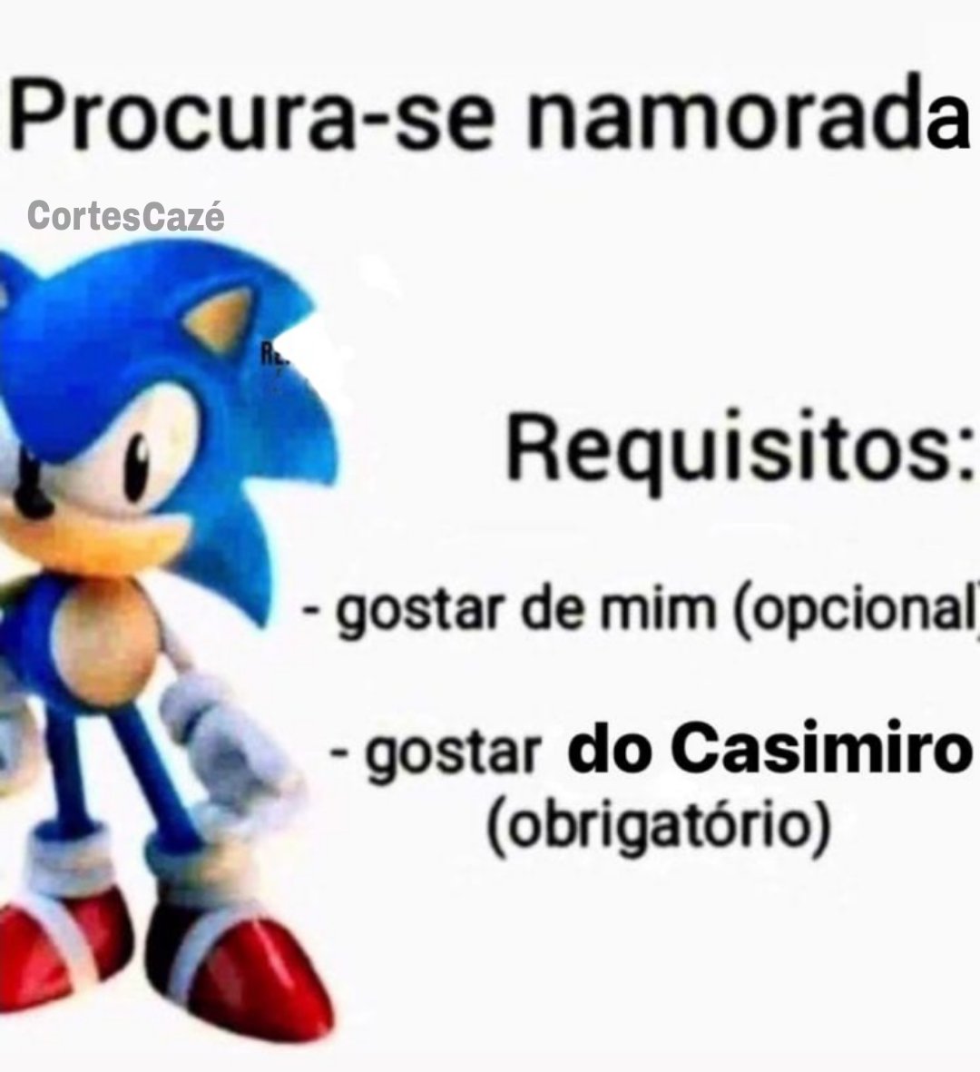 cortescaze's tweet photo. gostar do Casimiro (obrigatório!) https://t.co/x7pSY11FZJ