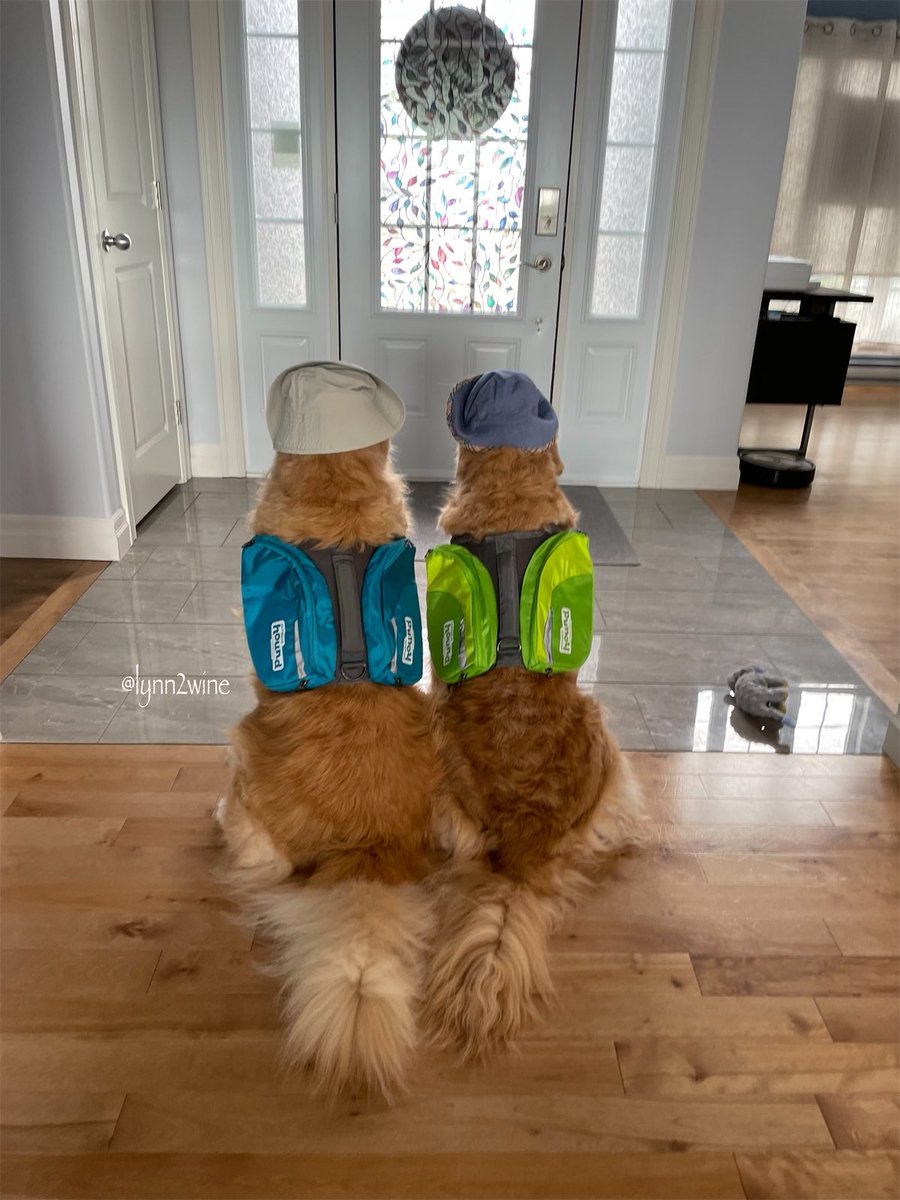 <a href="/buitengebieden/">Buitengebieden</a> <a href="/SonjaMc/">Sonja McGill</a> Can we join in?