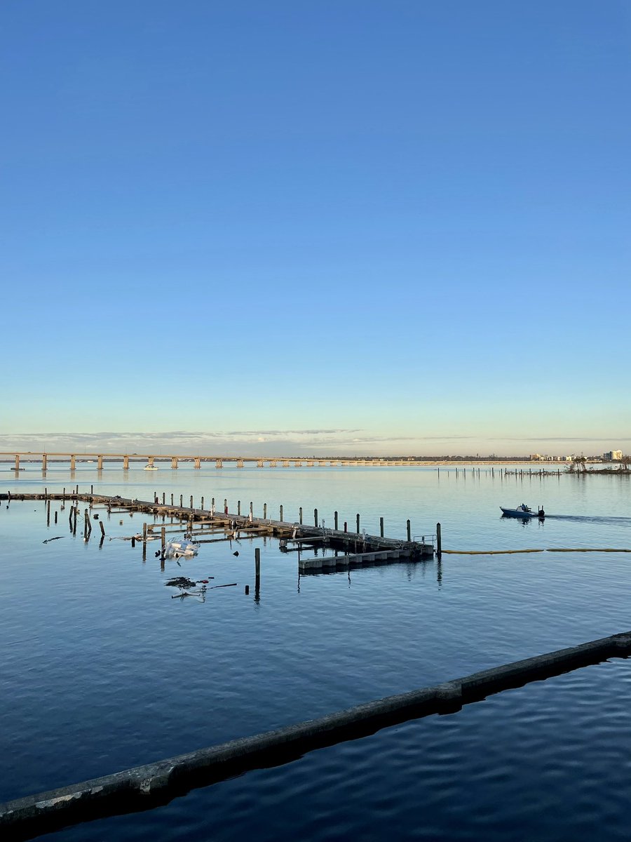 Alexandra Rangel on Twitter "This morning the Fort Myers Yacht Basin