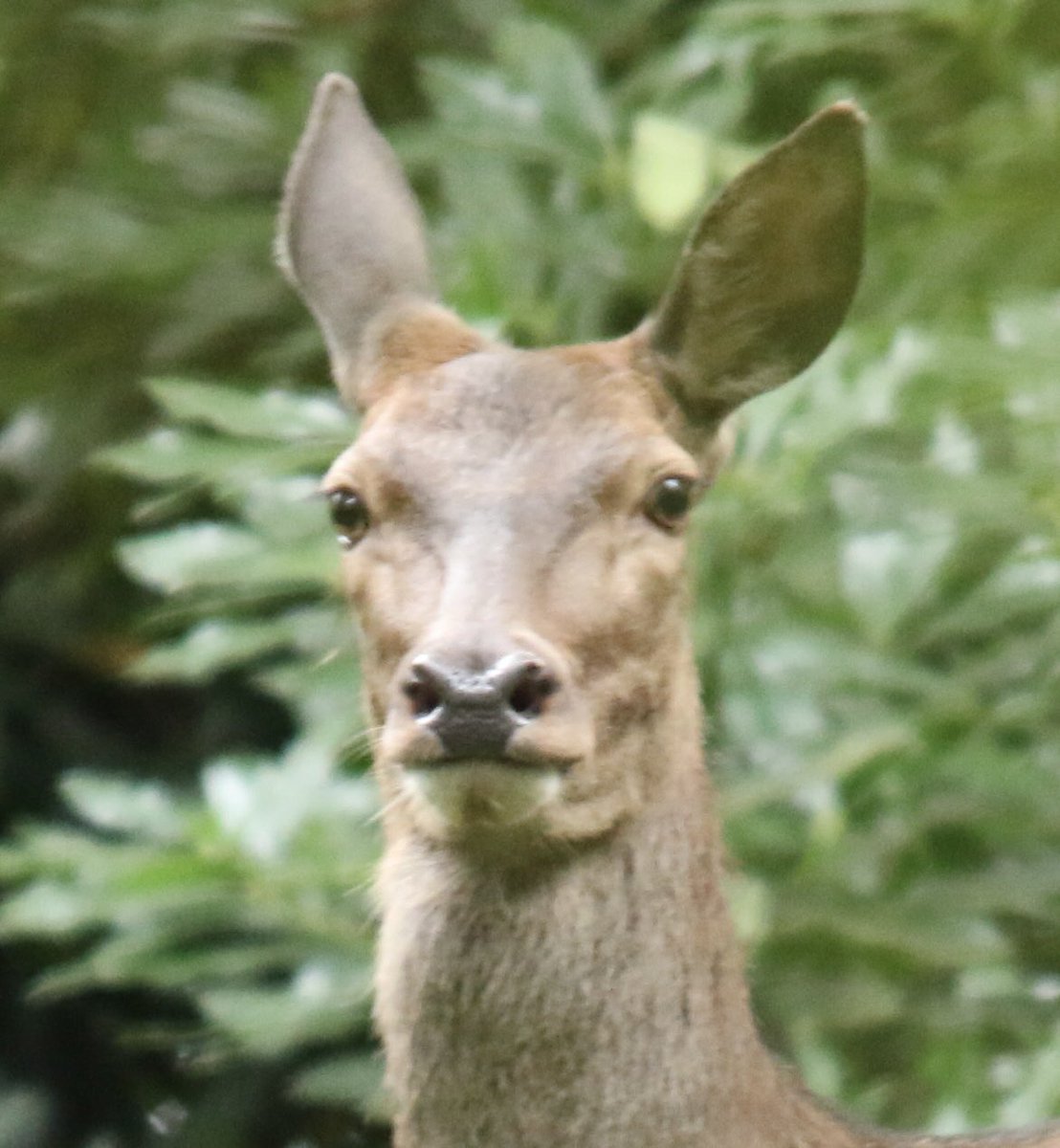 Bumped into these two whilst our walking last weekend