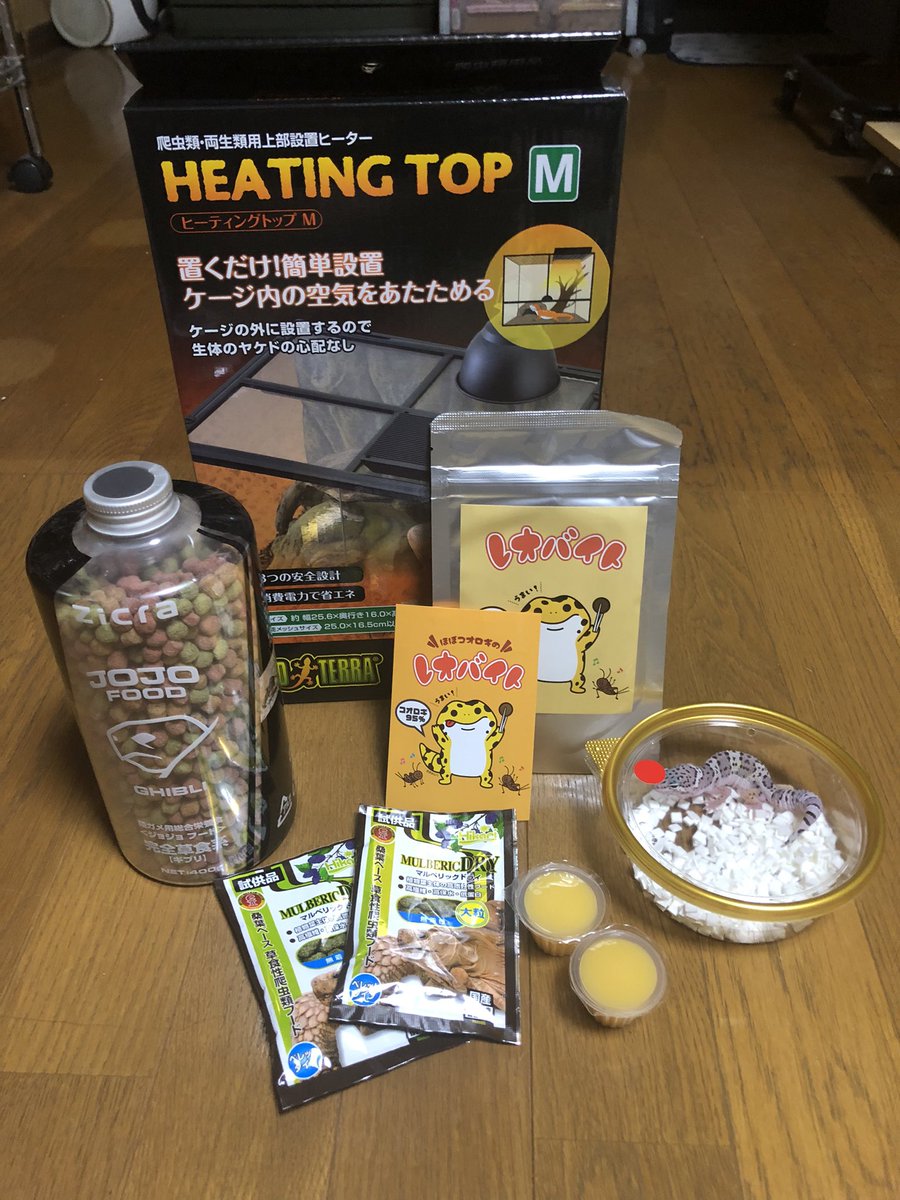 supotedo's tweet photo. 今日の購入&amp;お迎え😃
マルベリックの大粒11月発売嬉しい😃
＃ナゴレプ
＃お迎え
＃レオパ https://t.co/nEuYEUVJr8