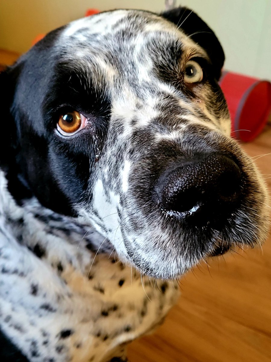 The Fabulous 4 tweet media