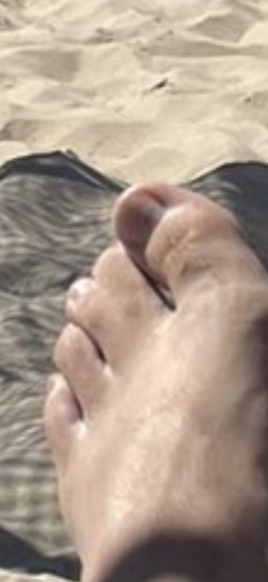 UP0NLY's tweet photo. @Tradermayne Flipper boy chill https://t.co/hTHnQZ9qrX