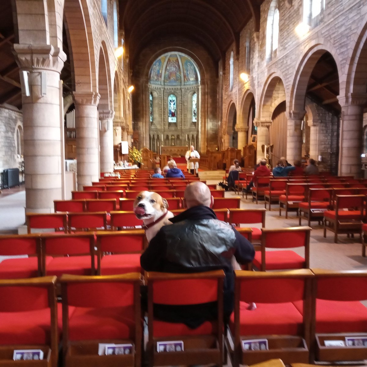 Today's Blessing of the Animals service.