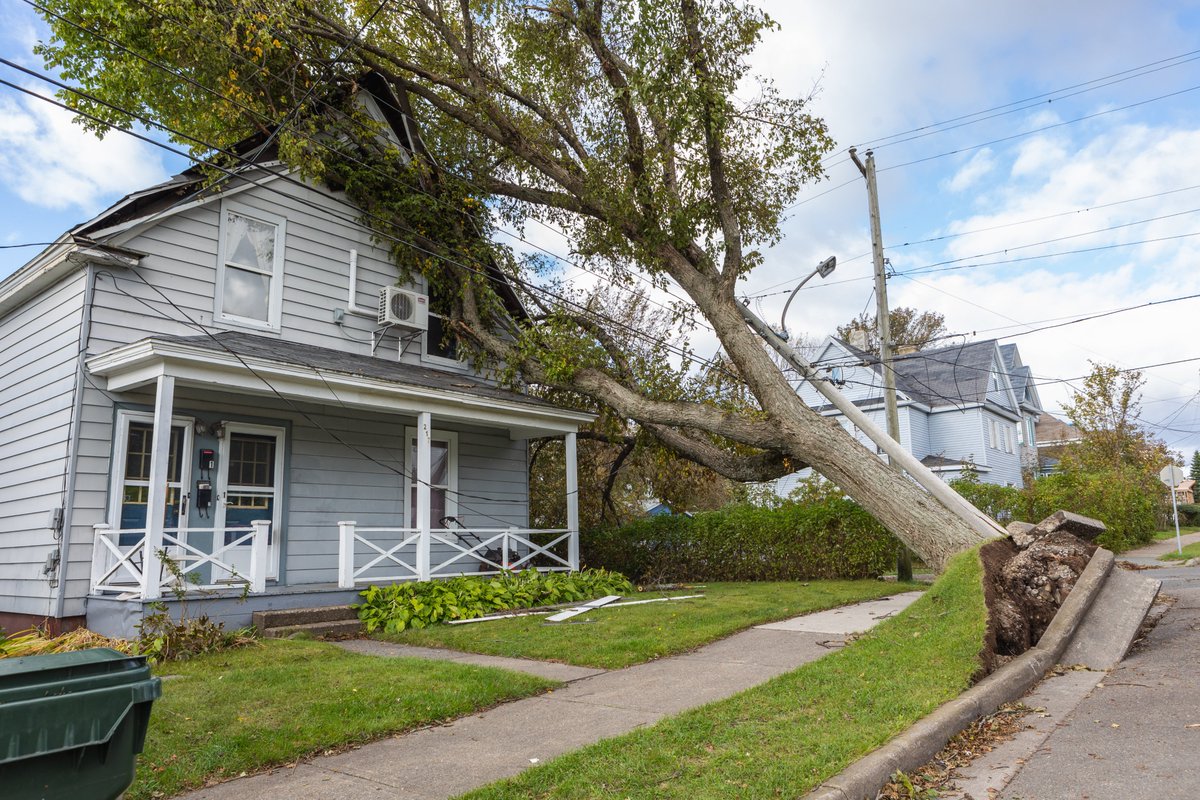 Nova Scotia Power tweet media