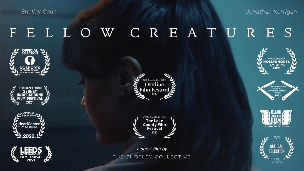 FELLOW CREATURES - A Short Film 💙 🇺🇦 tweet media