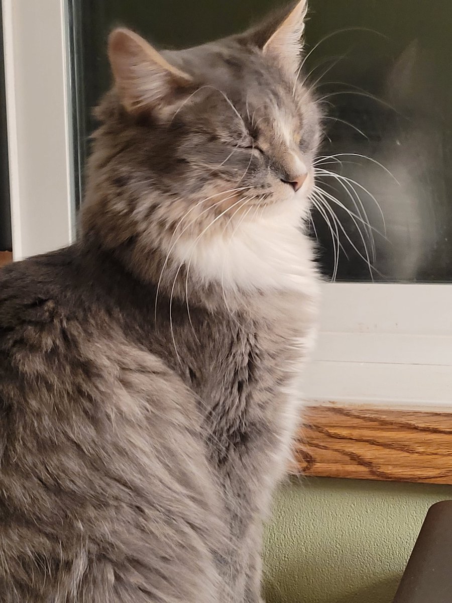 The Fabulous 4 tweet media