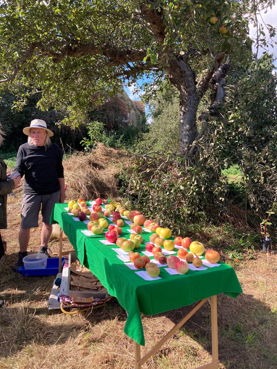 JamesRavinet's tweet photo. Lovely afternoon at St Laurence Orchard for #AppleDay @TrustLinksLtd - a historic site first planted in 1920 and leased to war veterans to overcome trauma and gain new skills. Well done to all involved @C_Ravinet #Southend #Essex https://t.co/g9CaT1Y3t8