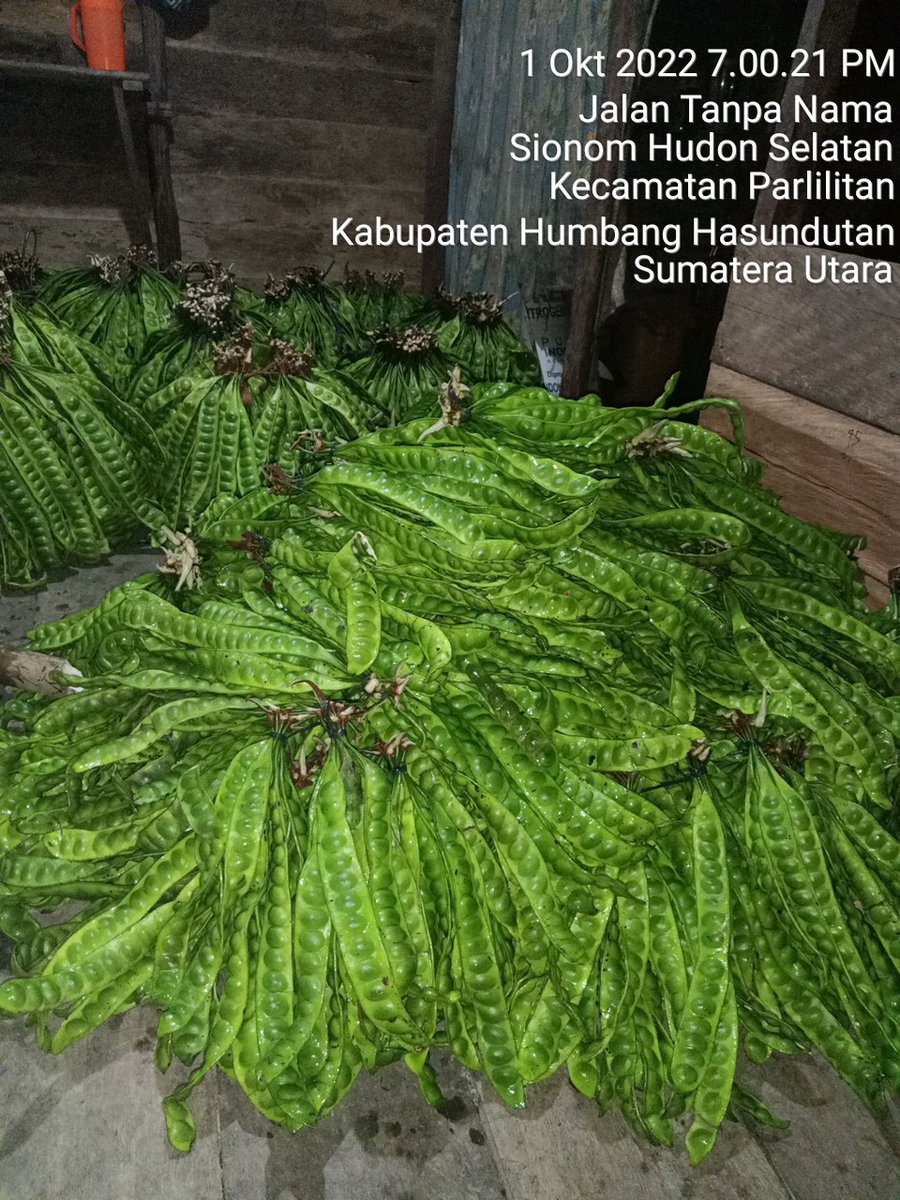 siringo_k's tweet photo. Hasil Bumi kecamatan parlilitan
#mentri https://t.co/kq5Wxdrrrp
