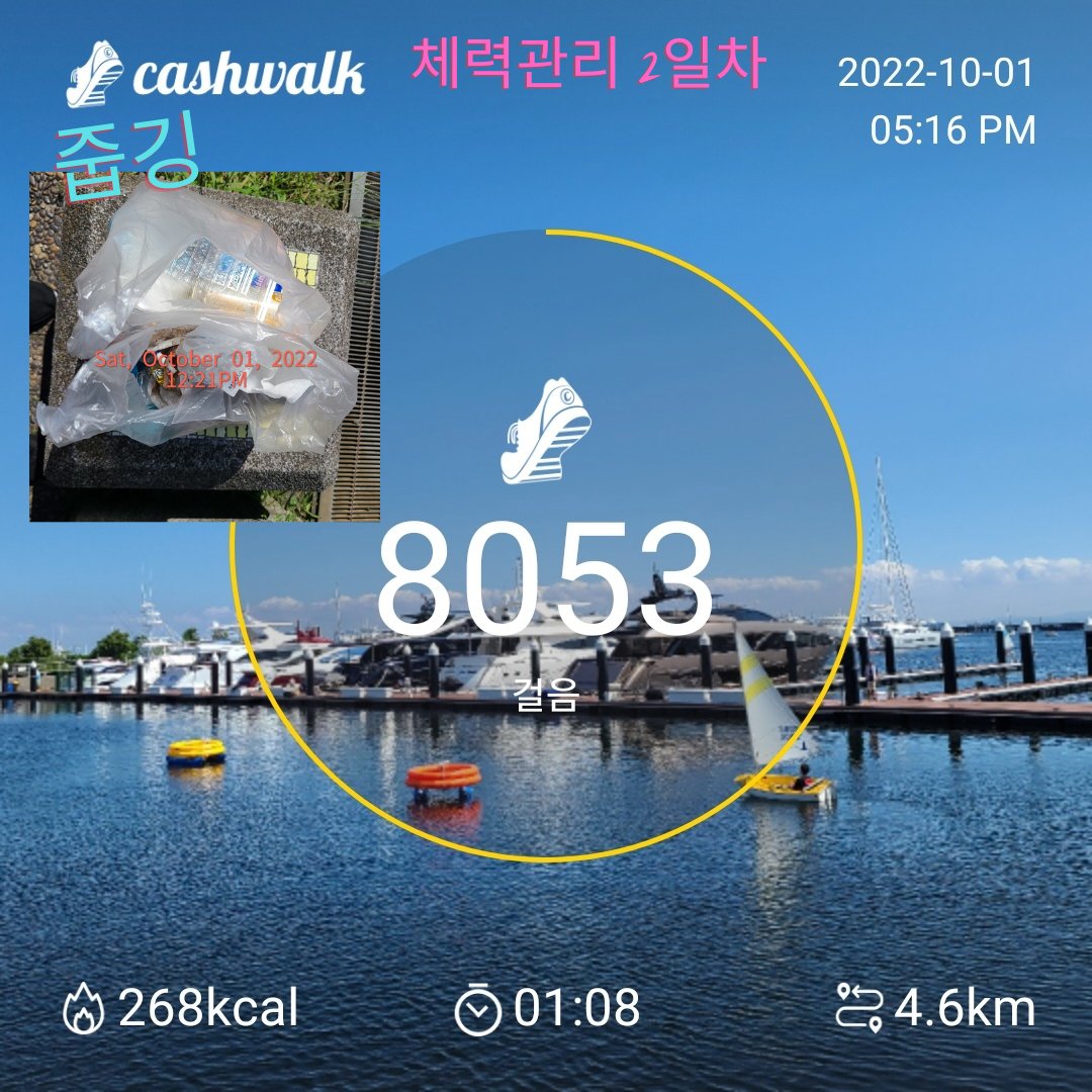 mirap337's tweet photo. 집 근처 아울렛에 쇼핑갔다 오면 만보는 될 줄 알았는데..
7천보 겨우 넘더라는...ㅋㅋㅋ
돌아오는 길에 줍깅하려고 집게도 챙겼습니다.

그리고 돌아와서는 피곤해서 자야만 했어요.--;
갈길이 머네요.
그래도 한 걸음씩 천천히 가 볼려구요.

#대불스 #불스하트 #문어지지않아 #debulls https://t.co/xEKl5qj7p9
