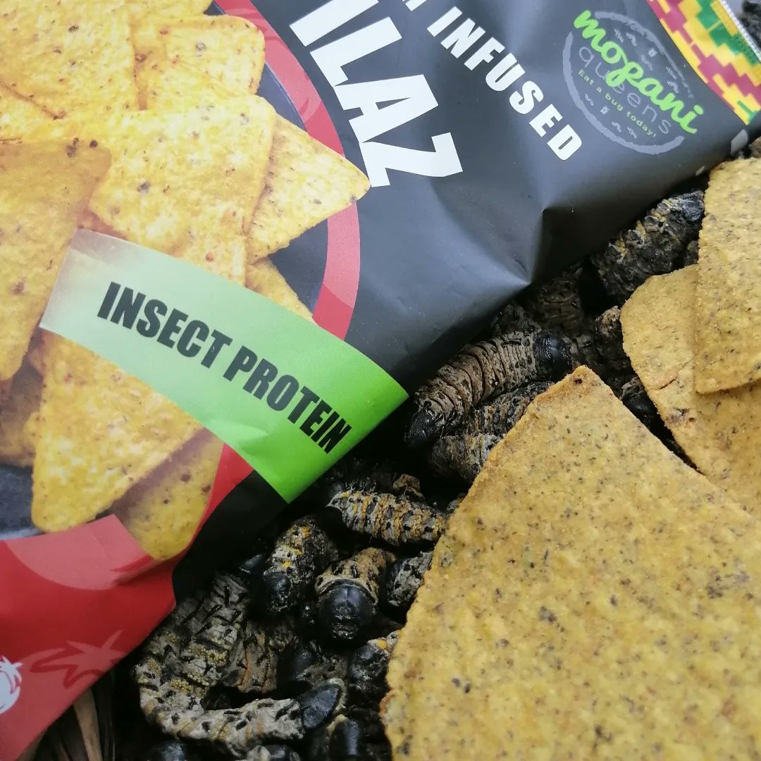 MopaniQueens's tweet photo. Hey now! How to cure a hangover 101! Mopilaz + @chuckchillifoods + @mopani_bites Peri-Peri
Protein and fiber on fire 🌶️🔥😍 🌮🌽🐛 Also available in store @jacksons_real_food
#periperi #mopaneworms #hangovercure #organic #protein #fiber #lowcarb #mopanetree #sun #GirlTalkZA https://t.co/s1OqEZp7K6