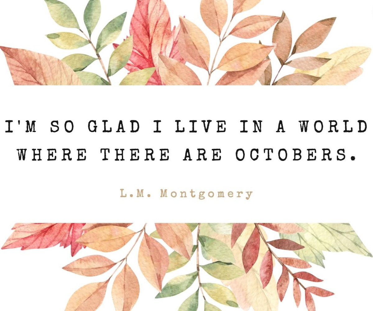 Friends with Alysa tweet media